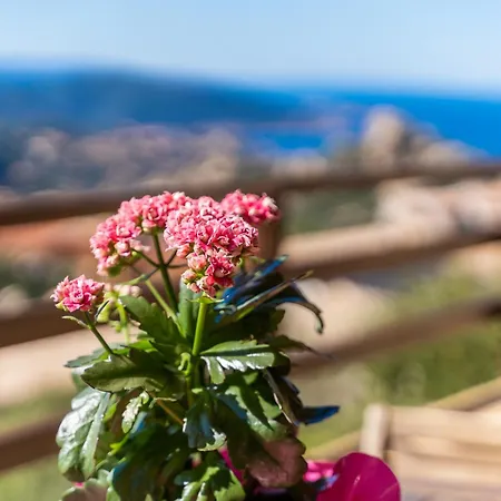 Panoramica * Costa Paradiso